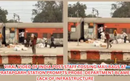 Viral Video of India Post Staff Tossing Mailbags at Pratapgarh Station Prompts Probe; Department Blames Lack of Infrastructure